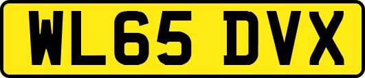 WL65DVX