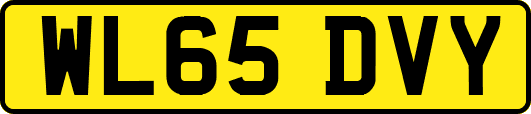 WL65DVY