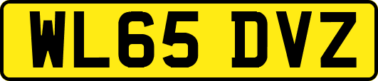 WL65DVZ