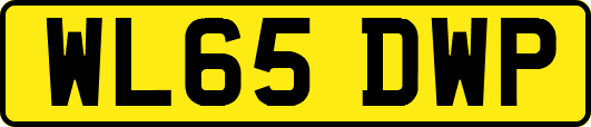 WL65DWP