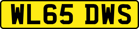 WL65DWS