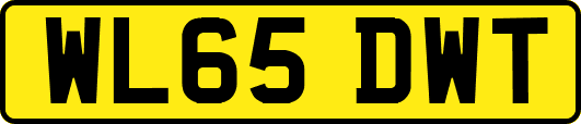 WL65DWT