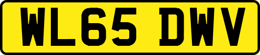WL65DWV