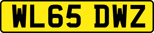 WL65DWZ