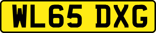 WL65DXG
