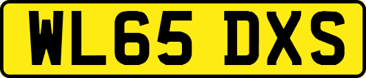 WL65DXS