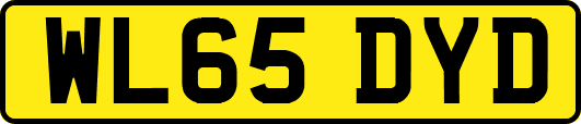 WL65DYD