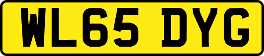 WL65DYG