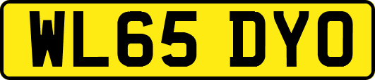 WL65DYO