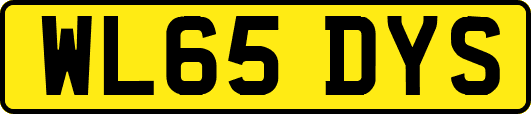 WL65DYS