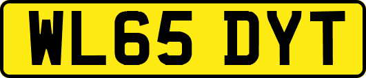 WL65DYT