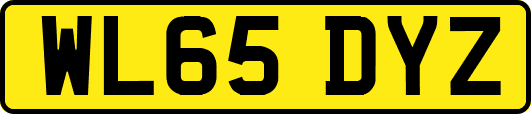 WL65DYZ