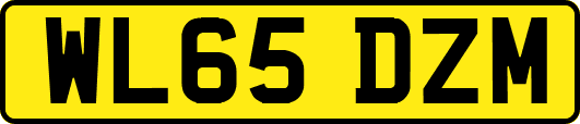 WL65DZM