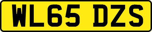 WL65DZS