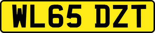 WL65DZT
