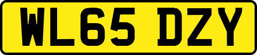 WL65DZY
