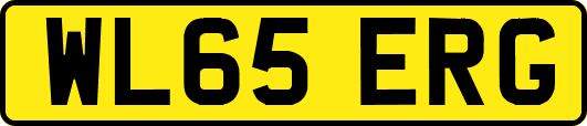 WL65ERG