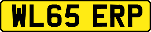 WL65ERP