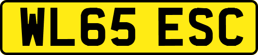 WL65ESC