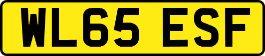 WL65ESF