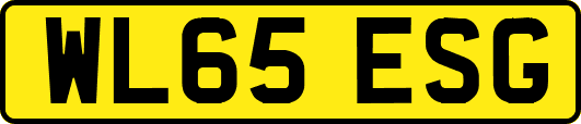 WL65ESG