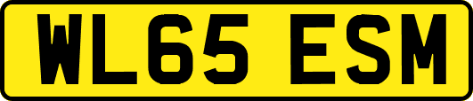 WL65ESM