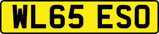 WL65ESO