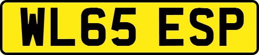 WL65ESP