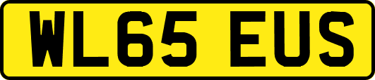 WL65EUS