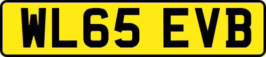 WL65EVB