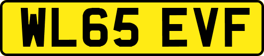 WL65EVF