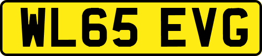 WL65EVG