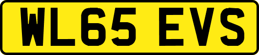 WL65EVS