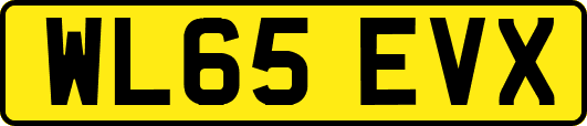 WL65EVX