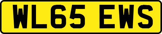 WL65EWS