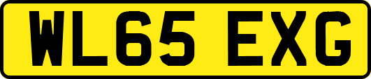 WL65EXG