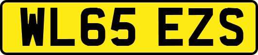 WL65EZS