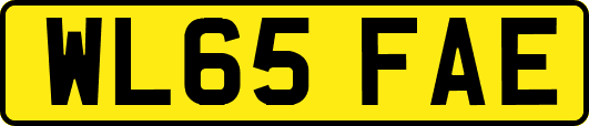 WL65FAE