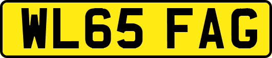 WL65FAG