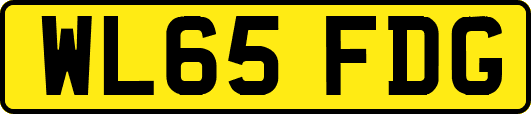 WL65FDG