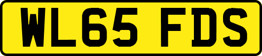 WL65FDS