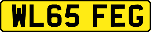 WL65FEG
