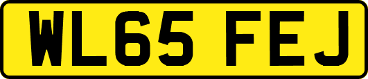 WL65FEJ