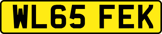 WL65FEK
