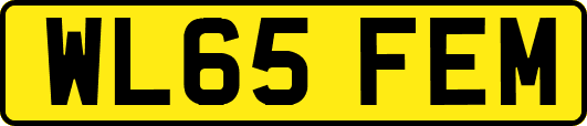 WL65FEM