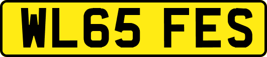 WL65FES