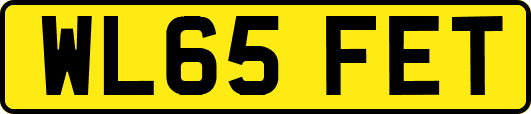 WL65FET