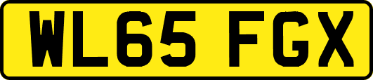 WL65FGX