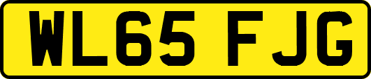 WL65FJG