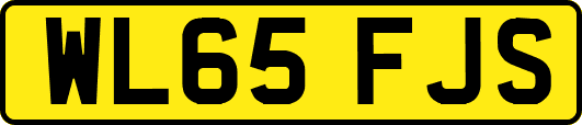 WL65FJS